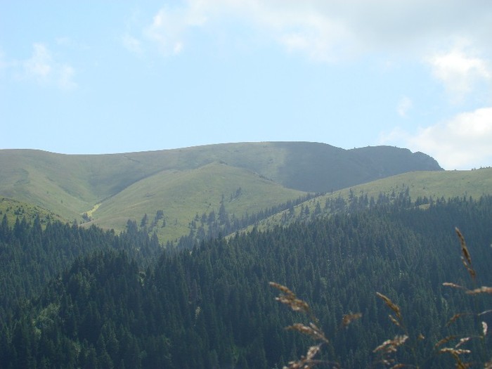 DSC08189
