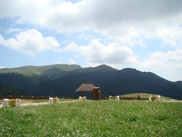 DSC08192
