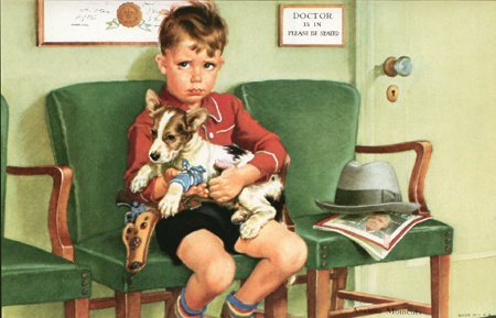 ci28794[1] - Parson russell terrier