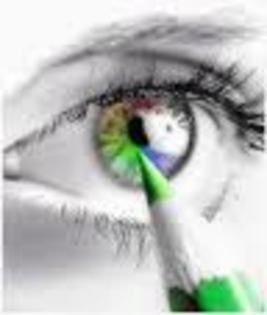 images (25) - poze colorate