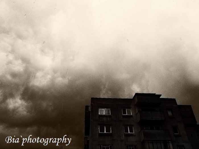 > :x < - x - Photo by me - Original - x