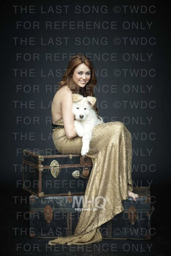 Miley Cyrus (12) - x - Miley Cyrus