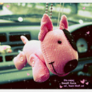 catelush` - 0 Yuppy WebkinzForIepuAndJess 2000
