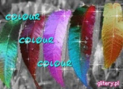 colour