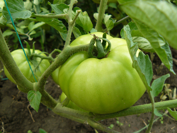 P1010759