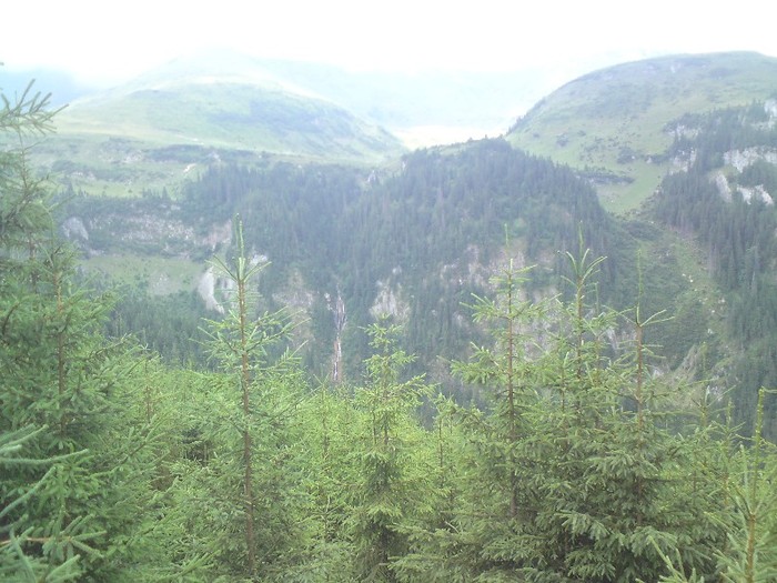 DSC00937 - Maramures