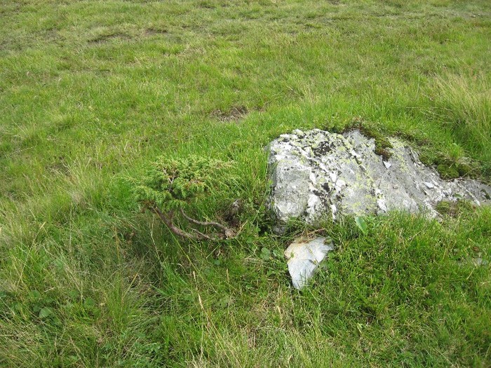 IMG_5358 - Maramures