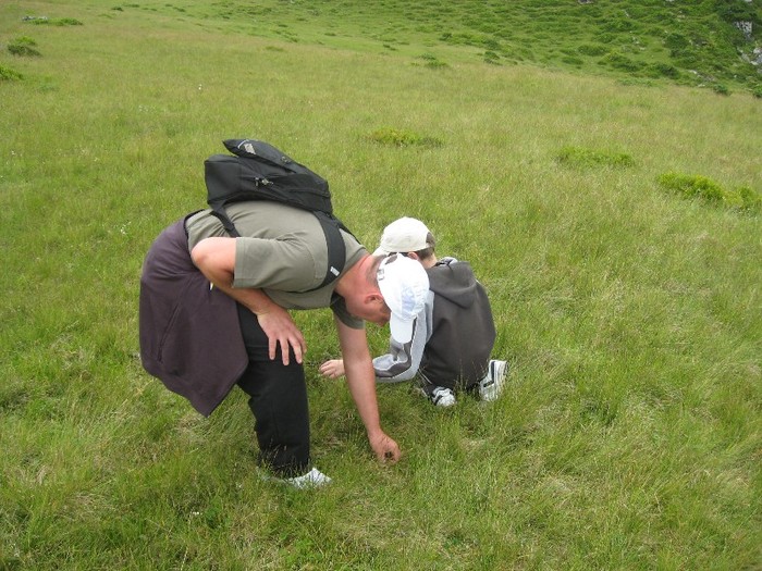 IMG_5366 - Maramures