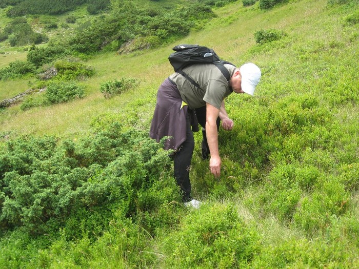 IMG_5369 - Maramures