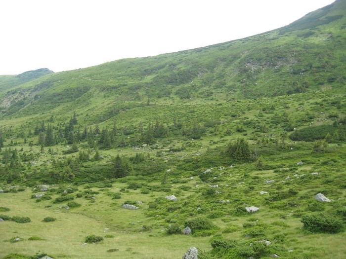 IMG_5396 - Maramures