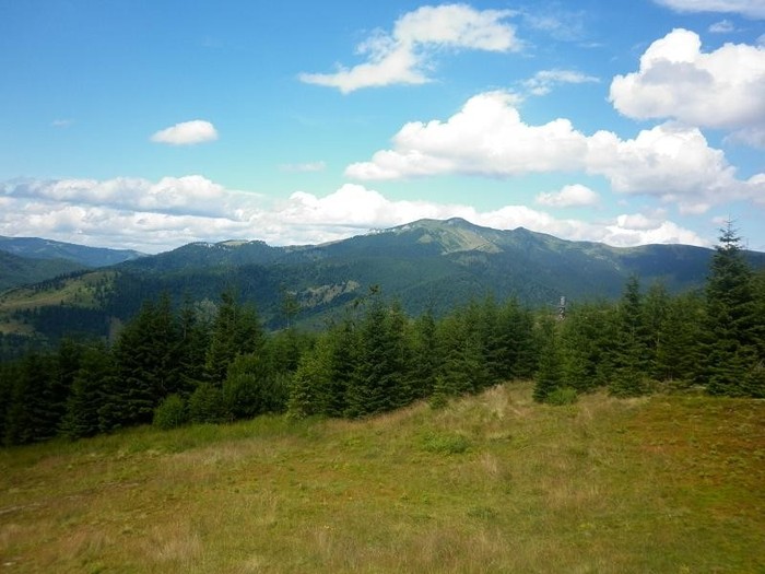 P1010077 - Maramures