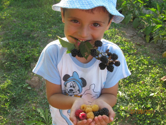 Fructe din gradina noastra - Fiul nostru - Stefan Alexandru Iancu