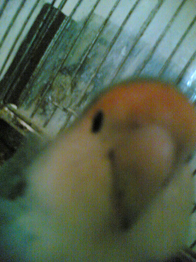 08052011(003) - PINKY SI PAULIE