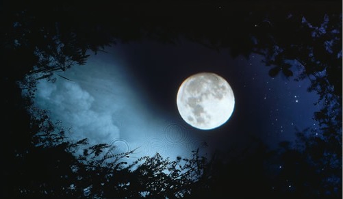 full-moon-briars - Moon