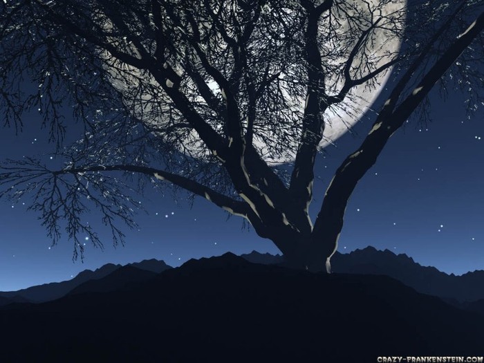 moon-and-tree-3d-landscape-wallpapers