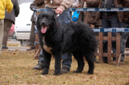 34029361_KUFMWPGPM[1]