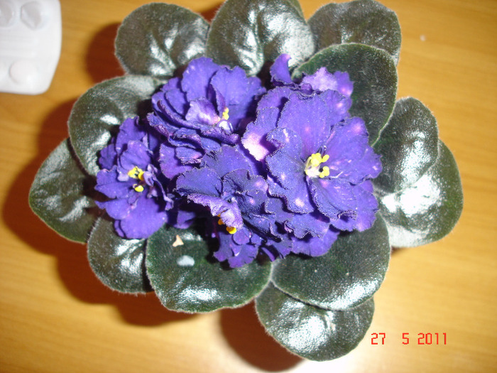 DSC01593