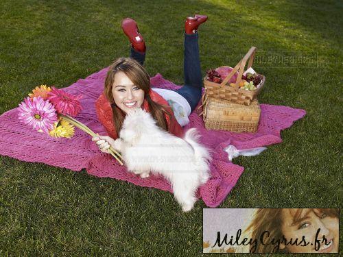 Miley Cyrus (1) - x - Miley Cyrus oo1