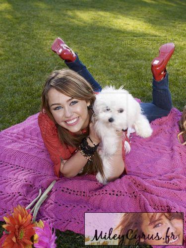 Miley Cyrus (2) - x - Miley Cyrus oo1