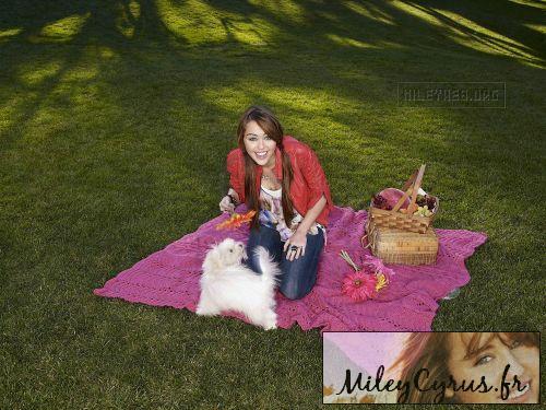 Miley Cyrus (6)