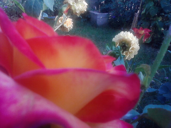 P060811_18.30_[01]