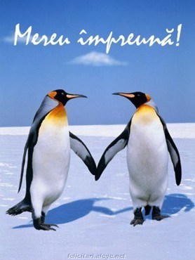 pinguini (2) - Pinguini