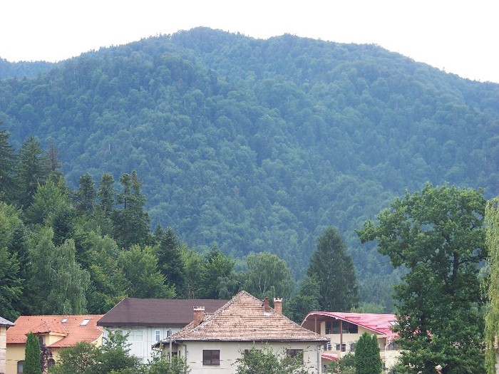 100_1904 - Vacanta de vis 1