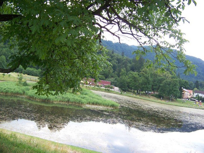 100_1910 - Vacanta de vis 1