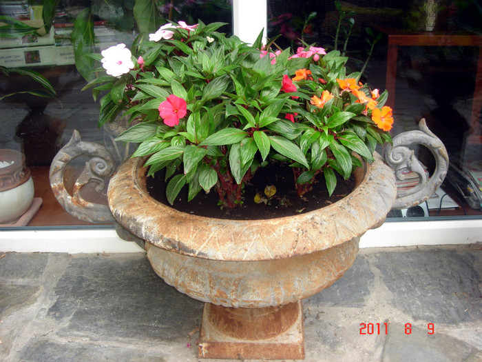 DSC01217 - Vara 2011