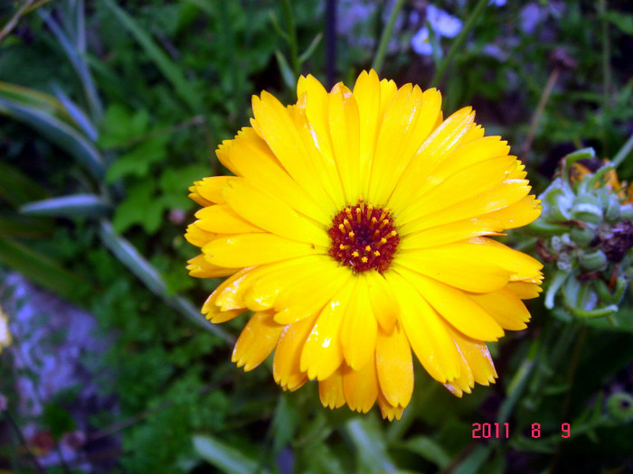 DSC01263