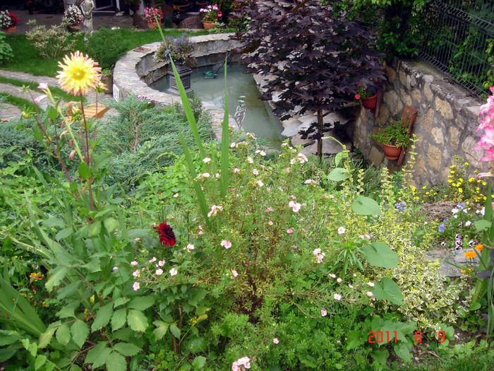 DSC01267