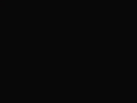 bscap13871187