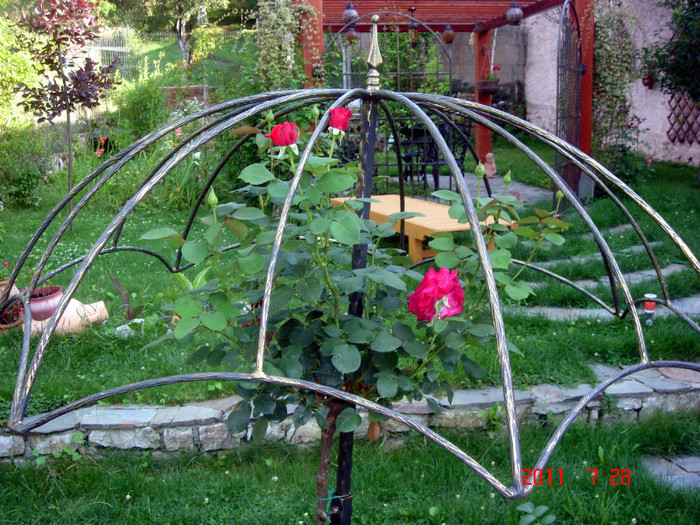 DSC01215