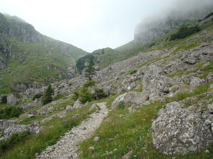 DSC08355 - Muntii Bucegi