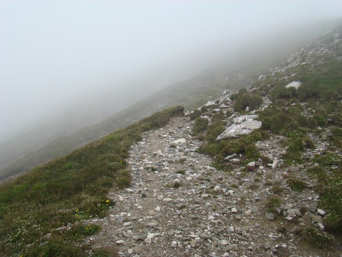 DSC08401 - Muntii Bucegi