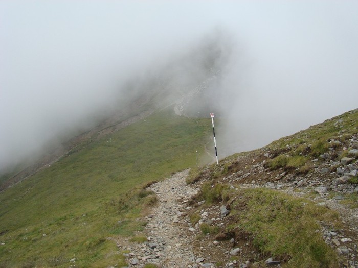 DSC08404 - Muntii Bucegi