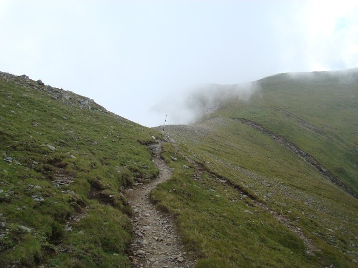 DSC08407 - Muntii Bucegi