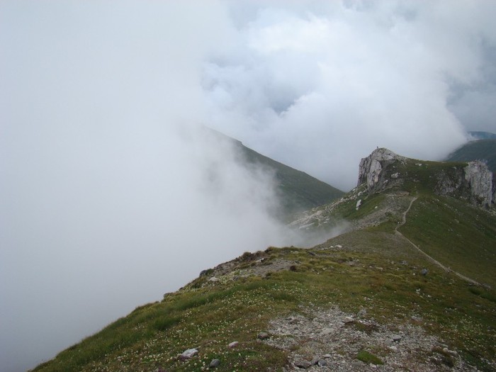 DSC08420 - Muntii Bucegi