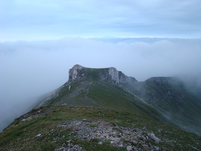 DSC08469 - Muntii Bucegi