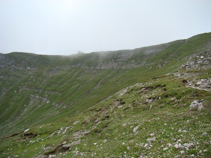 DSC08478 - Muntii Bucegi