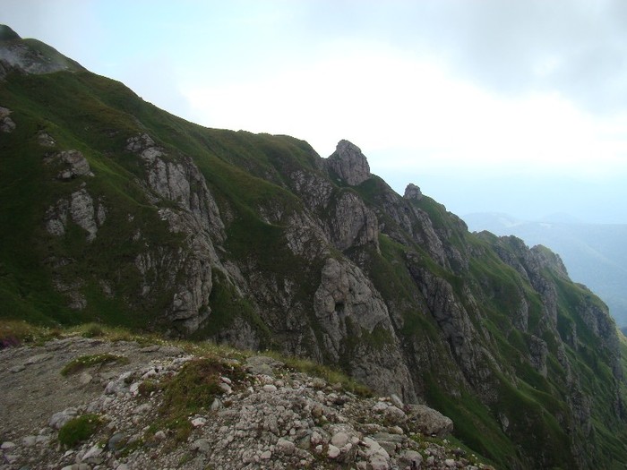 DSC08484 - Muntii Bucegi