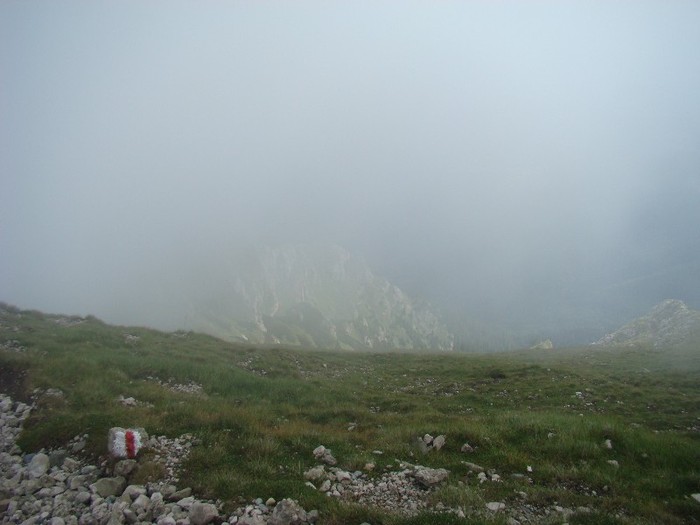 DSC08490 - Muntii Bucegi