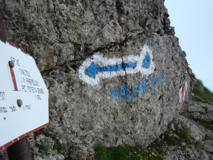 DSC08493 - Muntii Bucegi