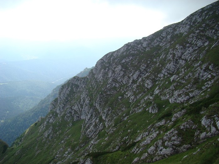 DSC08510 - Muntii Bucegi