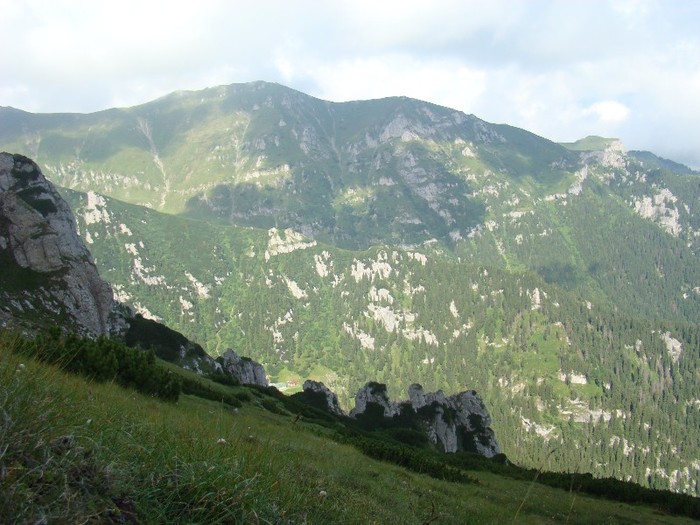 DSC08540