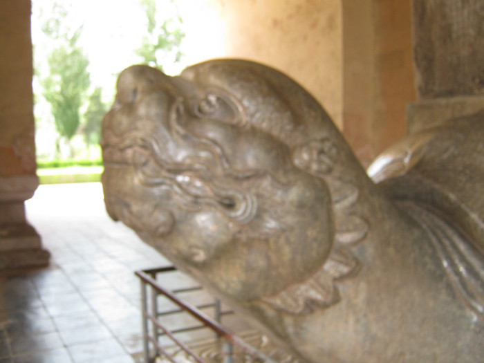 Broasca Testoasa - detaliu