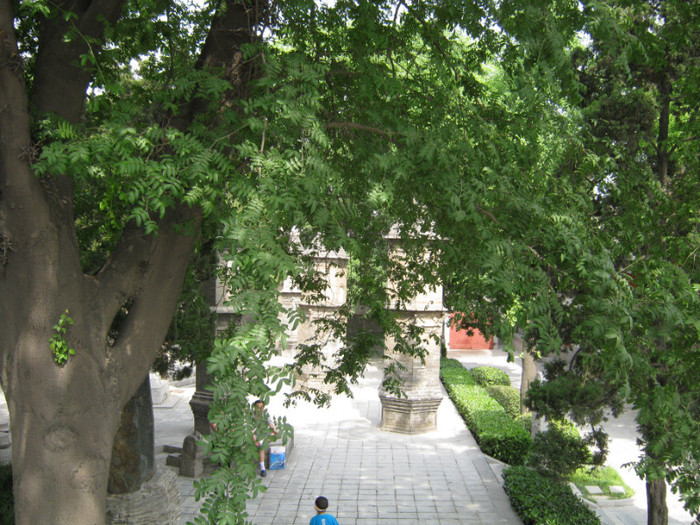 Xi'An - Pagoda Marii Gaste Salbatice