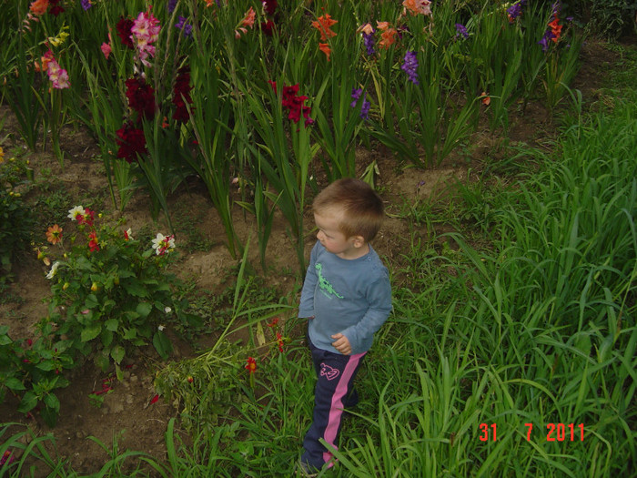 Picture 682