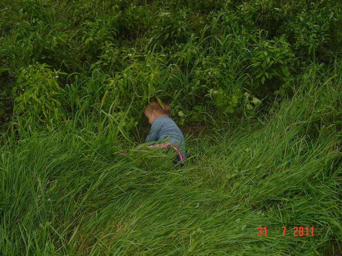Picture 677