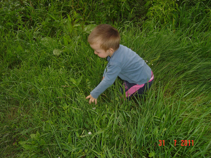Picture 678